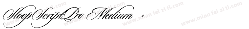 SloopScriptPro Medium◆字体转换